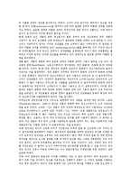 [국제광고, 표준화, 차별화] 국제광고의 개념, 국제광고 표준화와 차별화의 역사, 국제광고 표준화와 차별화의 필요성, 국제광고 표준화와 차별화의 문제점, 국제광고 표준화와 차별화의 전략 분석-6