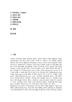 [지상파재송신] [지상파재송신]지상파재송신의 개념, 지상파재송신의 효과와 지상파재송신의 실태, 지상파재송신의 문제점 및 선진국의 지상파재송신 사례로 본 향후 지상파재송신의 개선 방향 분석-2