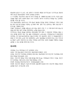 [iTV][경인방송][iTV(경인방송) 연혁][iTV(경인방송)][iTV(경인방송) 실패요인][iTV(경인방송) 개편방안]iTV(경인방송)의 연혁, iTV(경인방송)의 현황, iTV(경인방송)의 실패요인, iTV(경인방송)의 개편방안 분석-11