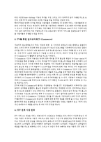[ITV] ITV(인터랙티브TV, 양방향티비)의 정의, ITV(인터랙티브TV, 양방향티비)의 발전과정, ITV(인터랙티브TV, 양방향티비)의 동향, 선진국의 ITV(인터랙티브TV, 양방향티비) 사례, ITV(인터랙티브TV, 양방향티비)의 주요쟁점과 미래상 분석-17