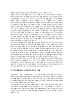 [ITV광고] ITV광고(쌍방향TV, 인터랙티브티비)의 의미와 특징, ITV광고(쌍방향TV, 인터랙티브티비)의 효과, 외국의 ITV광고(쌍방향TV, 인터랙티브티비) 사례, ITV광고(쌍방향TV, 인터랙티브티비)의 발전 과제 분석-3