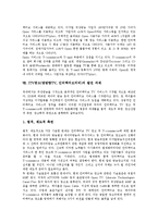 [ITV광고] ITV광고(쌍방향TV, 인터랙티브티비)의 의미와 특징, ITV광고(쌍방향TV, 인터랙티브티비)의 효과, 외국의 ITV광고(쌍방향TV, 인터랙티브티비) 사례, ITV광고(쌍방향TV, 인터랙티브티비)의 발전 과제 분석-11