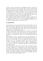 [ITV광고] ITV광고(쌍방향TV, 인터랙티브티비)의 의미와 특징, ITV광고(쌍방향TV, 인터랙티브티비)의 효과, 외국의 ITV광고(쌍방향TV, 인터랙티브티비) 사례, ITV광고(쌍방향TV, 인터랙티브티비)의 발전 과제 분석-12