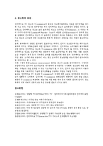 [ITV광고] ITV광고(쌍방향TV, 인터랙티브티비)의 의미와 특징, ITV광고(쌍방향TV, 인터랙티브티비)의 효과, 외국의 ITV광고(쌍방향TV, 인터랙티브티비) 사례, ITV광고(쌍방향TV, 인터랙티브티비)의 발전 과제 분석-13