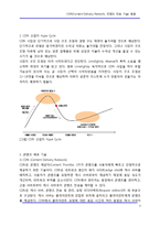 [인터넷] CDN(Content Delivery Network, 컨텐츠 전송 기술) 동향-3