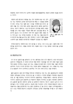 [미디어비평] [꽃보다남자]꽃보다남자 신드롬 분석, 꽃보다 남자 열풍의 원인과 영향 및 사회적 문제점(외모지상주의, 물질만능주의, 막장성)에 대한 논의-9