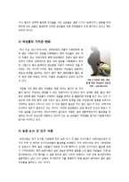[사회과학] [다문화가정]다문화가정의 등장 배경(국제결혼 및 결혼이주여성의 증가)과 국내 현실은?, 다문화사회의 문제점과 해결을 위한 대안 모색(인식의 전환)-4