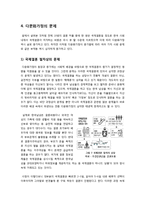 [사회과학] [다문화가정]다문화가정의 등장 배경(국제결혼 및 결혼이주여성의 증가)과 국내 현실은?, 다문화사회의 문제점과 해결을 위한 대안 모색(인식의 전환)-6