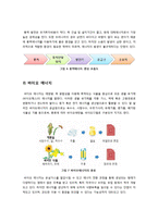 [환경] [대체에너지]대체에너지의 정의, 특징, 개발 배경 및 필요성 이해, 대체에너지 종류와 각각의 장단점 분석 및 향후 개발 전망-8