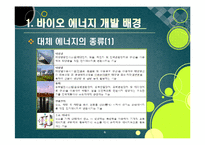 [에너지] [바이오에너지]바이오에너지의 정의 및 개념 이해, 바이오에너지의 개발 배경과 종류 및 주요 특징, 선진국 개발 동향과 바이오에너지 산업의 발전 전망-6