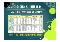 [에너지] [바이오에너지]바이오에너지의 정의 및 개념 이해, 바이오에너지의 개발 배경과 종류 및 주요 특징, 선진국 개발 동향과 바이오에너지 산업의 발전 전망-9