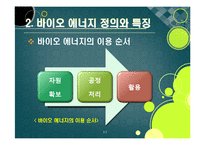 [에너지] [바이오에너지]바이오에너지의 정의 및 개념 이해, 바이오에너지의 개발 배경과 종류 및 주요 특징, 선진국 개발 동향과 바이오에너지 산업의 발전 전망-17
