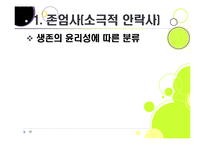 [존엄사]존엄사의 정의와 개념 이해, 존엄사 인정 논란의 주요 쟁점 분석 및 찬성, 반대 의견 수록, 존엄사 논란의 사회적 합의점을 찾아서-13