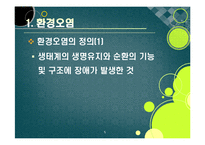 [환경오염]환경오염의 다양한 원인과 피해 사례 조사, 환경오염 방지를 위한 국제적 노력 및 자원절약, 대체에너지 개발 등 방법 소개-5
