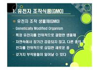 [GMO]gmo 논란의 주요 쟁점과 찬반 의견 집중분석, gmo의 문제점과 비판 사유 및 위험성에 대한 고찰(반대 의견 중심)-3