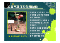 [GMO]gmo 논란의 주요 쟁점과 찬반 의견 집중분석, gmo의 문제점과 비판 사유 및 위험성에 대한 고찰(반대 의견 중심)-4