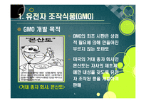 [GMO]gmo 논란의 주요 쟁점과 찬반 의견 집중분석, gmo의 문제점과 비판 사유 및 위험성에 대한 고찰(반대 의견 중심)-5