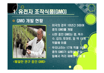 [GMO]gmo 논란의 주요 쟁점과 찬반 의견 집중분석, gmo의 문제점과 비판 사유 및 위험성에 대한 고찰(반대 의견 중심)-7
