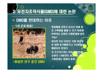 [GMO]gmo 논란의 주요 쟁점과 찬반 의견 집중분석, gmo의 문제점과 비판 사유 및 위험성에 대한 고찰(반대 의견 중심)-11