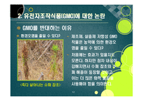 [GMO]gmo 논란의 주요 쟁점과 찬반 의견 집중분석, gmo의 문제점과 비판 사유 및 위험성에 대한 고찰(반대 의견 중심)-12