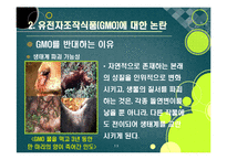 [GMO]gmo 논란의 주요 쟁점과 찬반 의견 집중분석, gmo의 문제점과 비판 사유 및 위험성에 대한 고찰(반대 의견 중심)-13