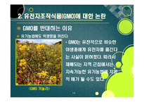 [GMO]gmo 논란의 주요 쟁점과 찬반 의견 집중분석, gmo의 문제점과 비판 사유 및 위험성에 대한 고찰(반대 의견 중심)-14
