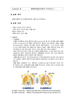 [생체계측실험] lesson8 RESPIRATORY CYCLE I-2
