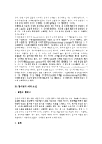 [합리성, 합리성의 이념, 합리성의 제약요인, 베버의 합리성, 합리성의 비판] 합리성의 이념과 합리성의 제약 요인 및 베버의 합리성 그리고 합리성의 비판 심층 분석-4