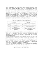 [듀이십진분류법, DDC, 20판] 듀이십진분류법(DDC)의 발전과 듀이십진분류법(DDC)20판의 특징, 듀이십진분류법(DDC)20판의 변화내용, 듀이십진분류법(DDC)20판의 문제점과 대책, 듀이십진분류법(DDC)20판의 평가 분석-5