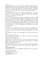 [행정법] 선거제도-3