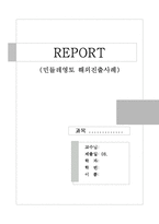 [프랜차이즈,경영,ceo,글러벌,해외진출] 민들레영토 해외진출전략-1