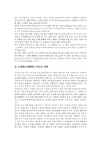 [PPL] 간접광고(제품배치, PPL)의 개념, 간접광고(제품배치, PPL)의 현황과 문제점, 다양한 간접광고(제품배치, PPL) 사례, 간접광고(제품배치, PPL)의 쟁점, 향후 간접광고(제품배치, PPL)의 규제 방안 분석-3