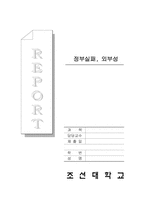 정부실패, 외부성(정부정책,정부조직)-1