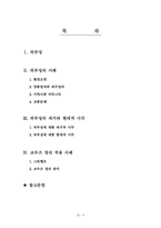 정부실패, 외부성(정부정책,정부조직)-8