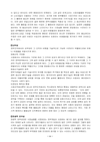 [경제학] 정부의 시장실패 및 방안-13