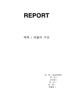 [조세행정론] 세율의 구조에 대하여-1