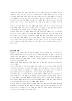 [음악] 낭만주의의 특징과 의의-4