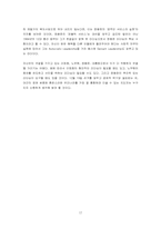 [조직] 대선후보자의 성격 및 리더십분석-17