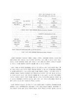[조직행위] 조직문화와 기업문화-10