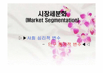 [마케팅전략] 하이트 스타우트 STP-3