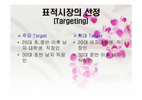 [마케팅전략] 하이트 스타우트 STP-5