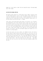 [사회문화]한류의 의미와 한류열풍의 지속적인 방향-6