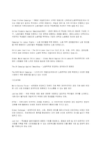 [국제사회]국제비정부기구(NGO)의 종류와 역할-10