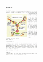 [생명윤리] 생명복제에 대한 나의 생각-2