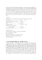 [영문학] 위대한 개츠비 분석-8