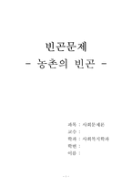 [사회문제론] 빈곤문제 - 농촌의 빈곤 현황 및 대책-1
