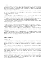 [사회문제론] 청소년의 약물남용의 실태 및 대책-6