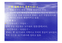 [역사] 동북공정 만들기 ppt 자료-11