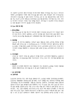 [경영,마케팅] 삼성애니콜Vs엘지싸이언 비교-13