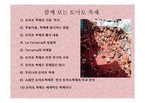 [사회계열, 인문계열] 스페인 토마토 축제-2